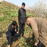 ���г�������ݮ����