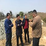 ���г�������ݮ����